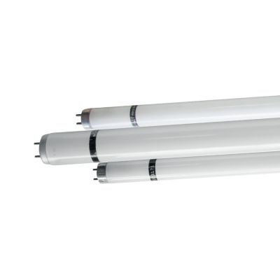 TUBE DROIT QUANTUM® GAINÉ 36W-60CM T8 (x1)