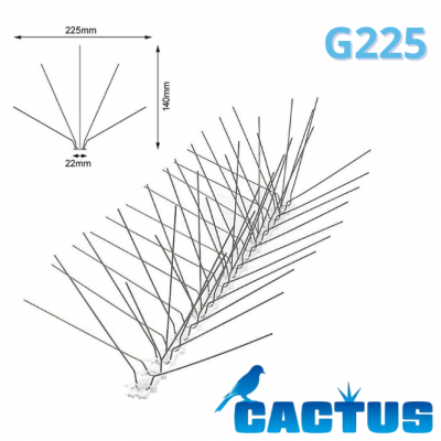 PICS GOÉLANDS/ MOUETTES CACTUS G225 20M