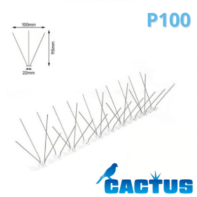 PICS PIGEONS CACTUS P100 50M