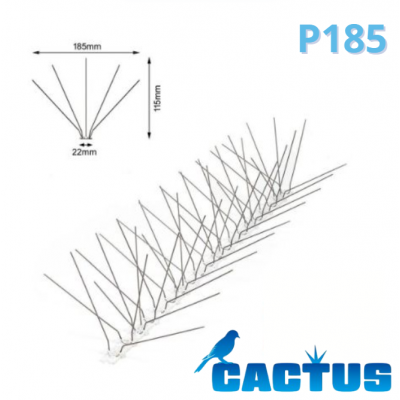 PICS PIGEONS CACTUS P185 25M