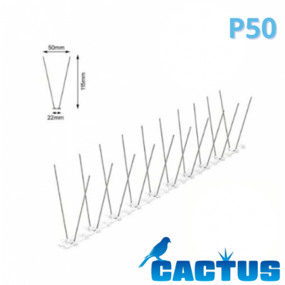 PICS PIGEONS CACTUS P50 60M