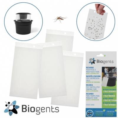 BIOGENTS PLAQUES DE GLU/STICKY CARDS BG-GAT (x10)