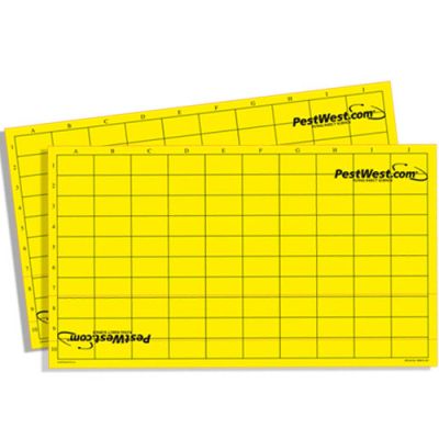 CHAMELEON ® PLAQUES DE GLU QUADRILLÉES JAUNES CARTONNÉES (x6)