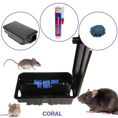 CORAL POSTE RATS & SOURIS SÉCURISÉ (x30)