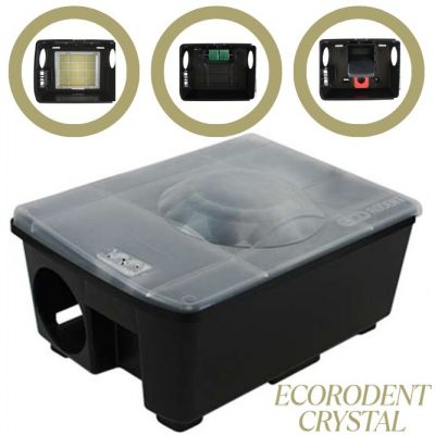 ECORODENT CRYSTAL CLEAR STATION POLYVALENTE (x20)
