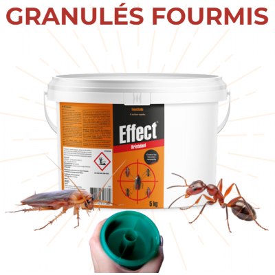 EFFECT KRISTALANT GRANULÉS FOURMIS SEAU DE 5KG
