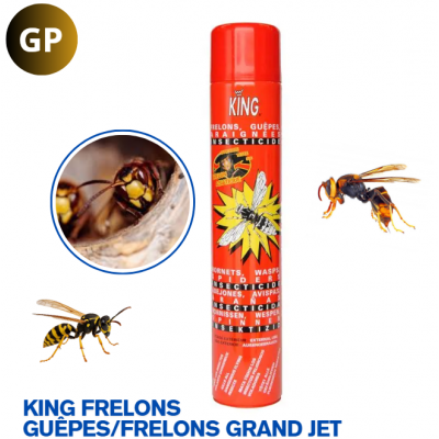KING FRELONS AÉROSOL GRAND JET 750ML (x12)