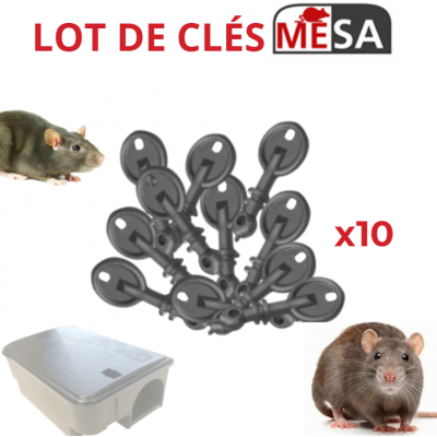 CLÉ MESA (x10)