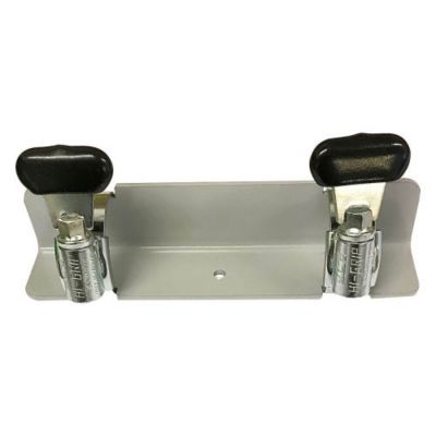 JONCTION DE LANCE PA2 (CANAGUEPE)