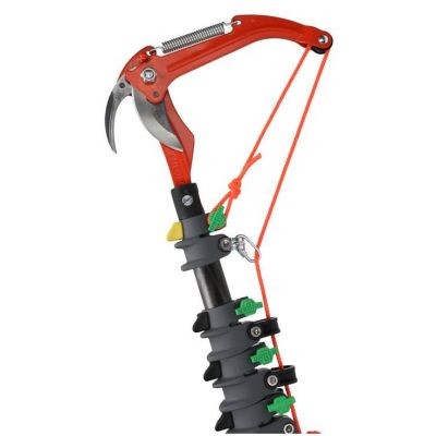 ÉCHENILLOIR POUR LANCE CARBONE 