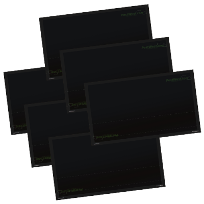 CHAMELEON ® PLAQUES DE GLU CARTONNÉES NOIRES (x6)