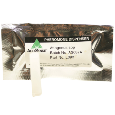 PHÉROMONES ATTAGÈNES (x10)