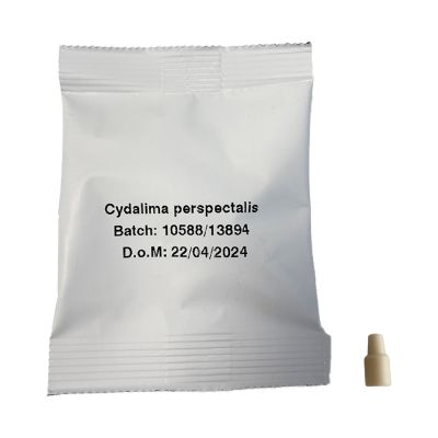 PHÉROMONE PYRALE DU BUIS