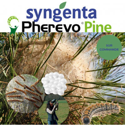 SYNGENTA PHEREVO® PINE BALL BILLES DE PHÉROMONES SEXUELLES POUR CHENILLES