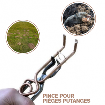 PINCE POUR PIEGES À TAUPES PUTANGES X1