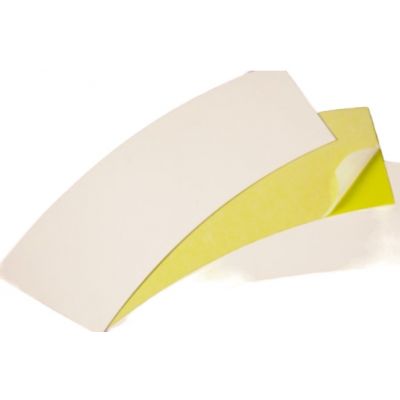 PLAQUES GLU POUR FUNNEL TRAP (x10)