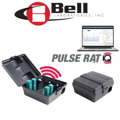 PULSE® RAT IQ® STATION CONNECTÉE (x6) 
