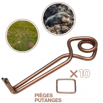 PIEGES À TAUPES PUTANGES x10 +10 TENTES