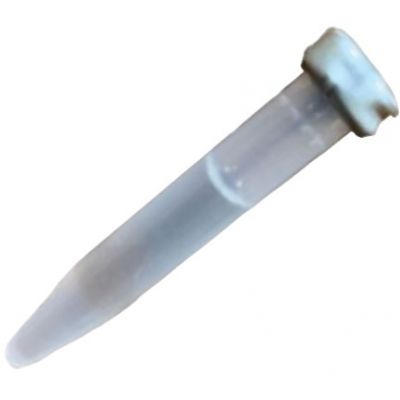 SENSCI ACTIV ATTRACTIFS (x12)