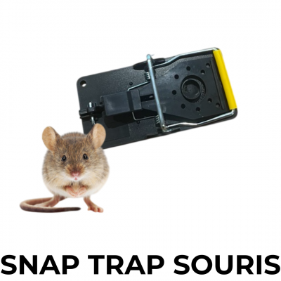 SNAP TRAP SOURIS (x1)