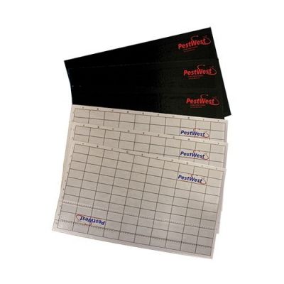 CHAMELEON® PLAQUES DE GLU QUADRILLÉES GRISES CARTONNÉES (x6)