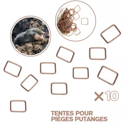 TENTES POUR PIÈGES À TAUPES PUTANGES (x10)