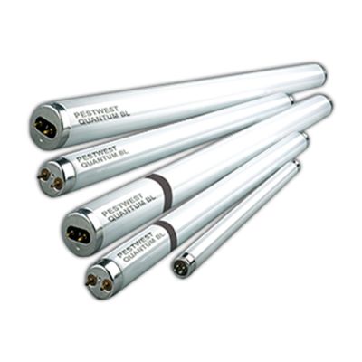 TUBE DROIT QUANTUM® GAINÉ 18W-60CM  T8 (x1)