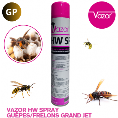 VAZOR® HW SPRAY AÉROSOLS 750ML GRAND JET (x12)
